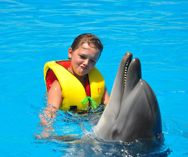 From Alanya Swim With Dolphins